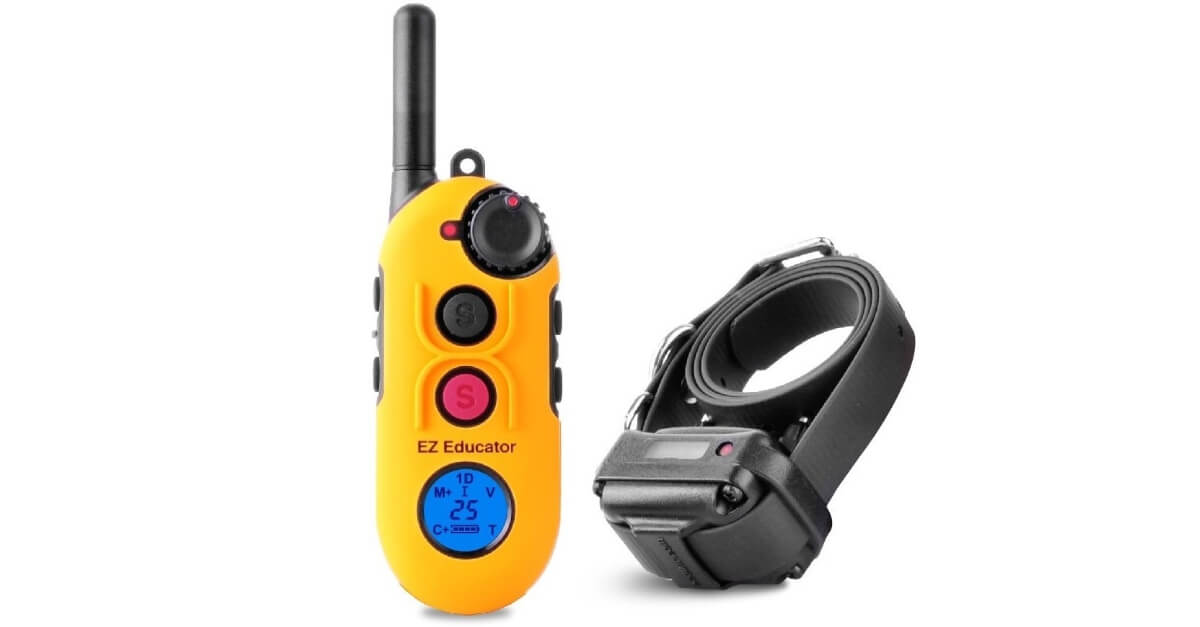 ECollar Easy Educator EZ900 RECENZE Hobbio.cz